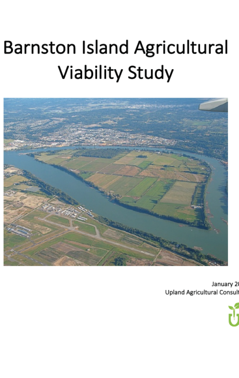 Barnston Island Agriculture Viability Study