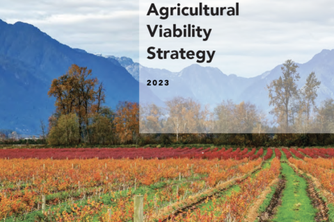 Pitt Meadows Agricultural Viability Strategy